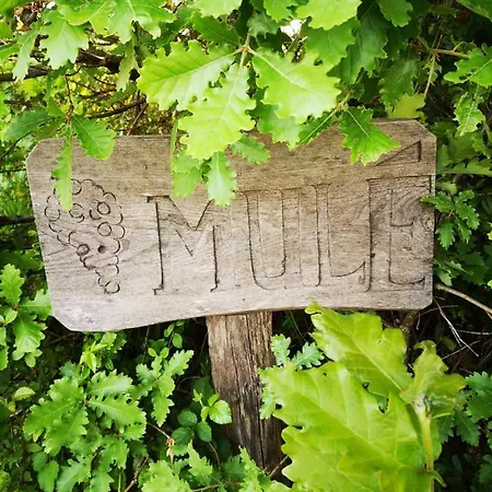 Alojamento de Acomodação e Pequeno-almoço Mule, Route Du Mule Lagardere