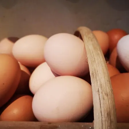 Mule, Route Du Mule Alojamento de Acomodação e Pequeno-almoço Lagardere