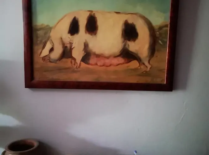 Mule, Route Du Mule לינה וארוחת בוקר