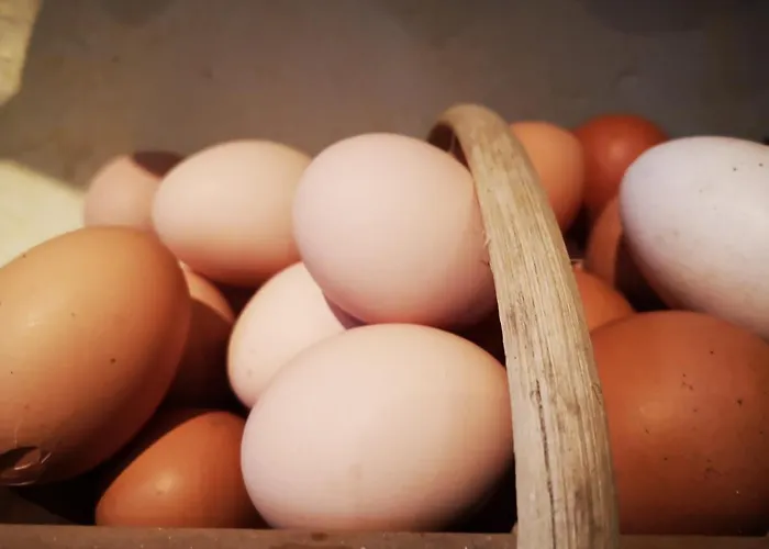 Mule, Route Du Mule לינה וארוחת בוקר Lagardere